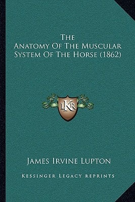 The Anatomy Of The Muscular System Of The Horse (1862)