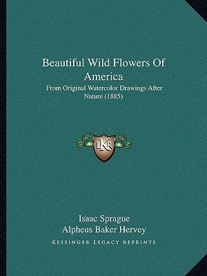 Beautiful Wild Flowers Of America: From Original Watercolor Drawings After Nature (1885)