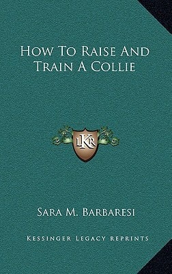 How To Raise And Train A Collie
