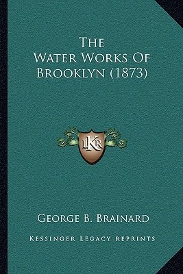 The Water Works Of Brooklyn (1873)