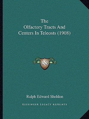 The Olfactory Tracts And Centers In Teleosts (1908)