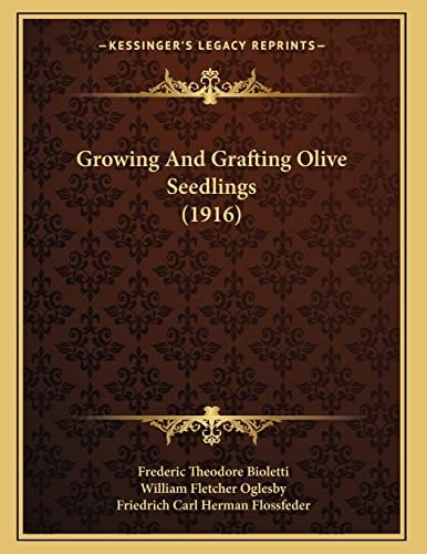 Growing And Grafting Olive Seedlings (1916)