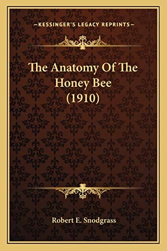 The Anatomy Of The Honey Bee (1910)