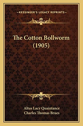 The Cotton Bollworm (1905)