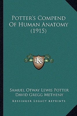 Potter's Compend Of Human Anatomy (1915)