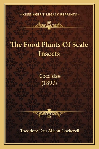 The Food Plants Of Scale Insects: Coccidae (1897)