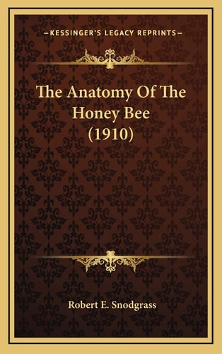 The Anatomy Of The Honey Bee (1910)