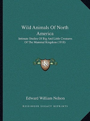 Wild Animals Of North America: Intimate Studies Of Big And Little Creatures Of The Mammal Kingdom (1918)