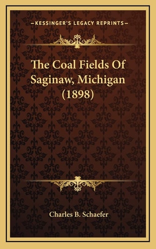 The Coal Fields Of Saginaw, Michigan (1898)