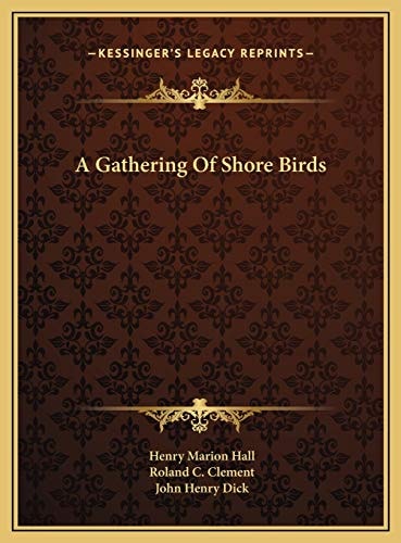 A Gathering Of Shore Birds