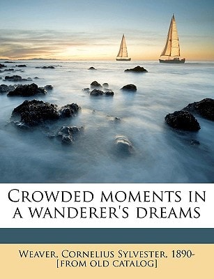 Crowded moments in a wanderer's dreams