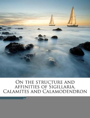 On the structure and affinities of Sigillaria, Calamites and Calamodendron