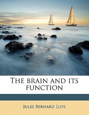 The brain and its function