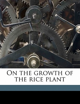 On the growth of the rice plant
