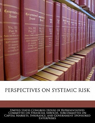 Perspectives On Systemic Risk