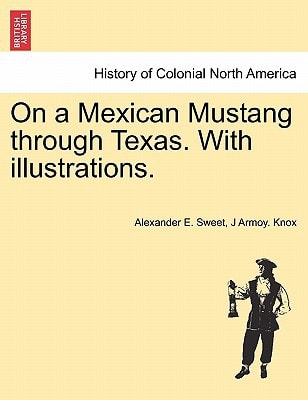 On a Mexican Mustang through Texas. With illustrations.