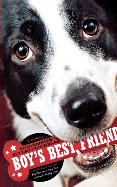 Boys Best Friend