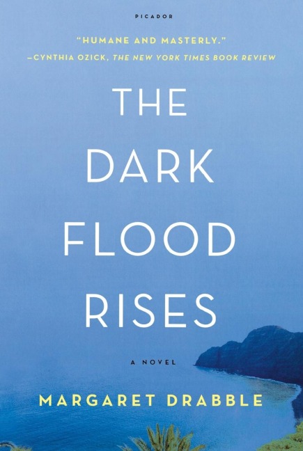 Dark Flood Rises