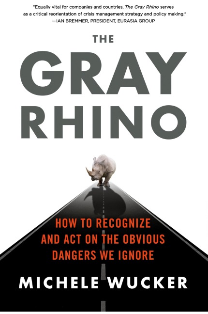 The Gray Rhino