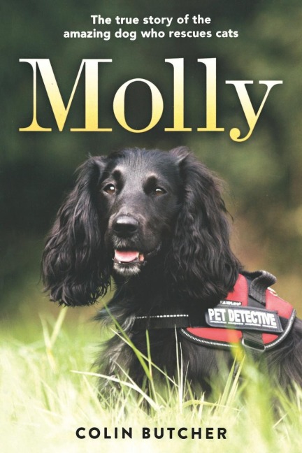 Molly: The True Story of the Amazing Dog Who Rescues Cats
