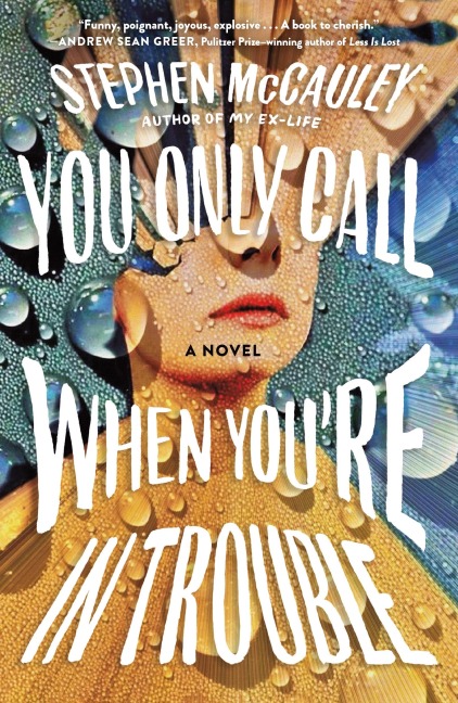 You Only Call When Youre in Trouble: A Novel