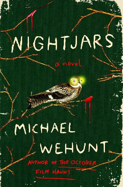 Nightjars: A Novel