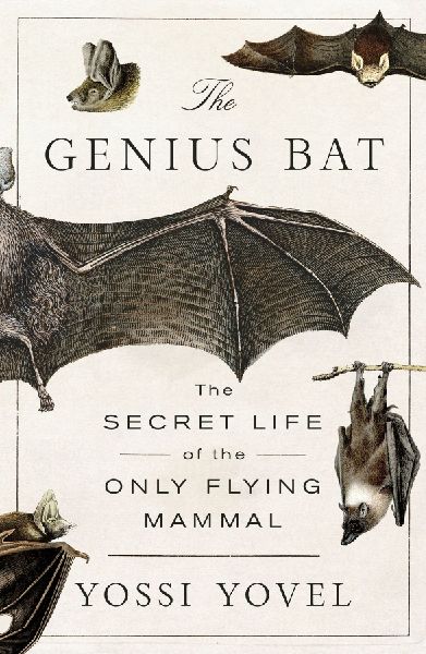 Genius Bat: The Secret Life of the Only Flying Mammal