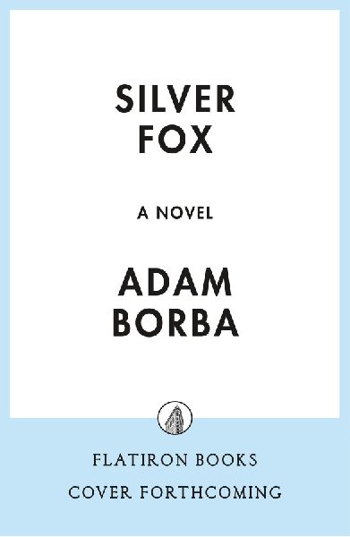 Silver Fox: A Novel