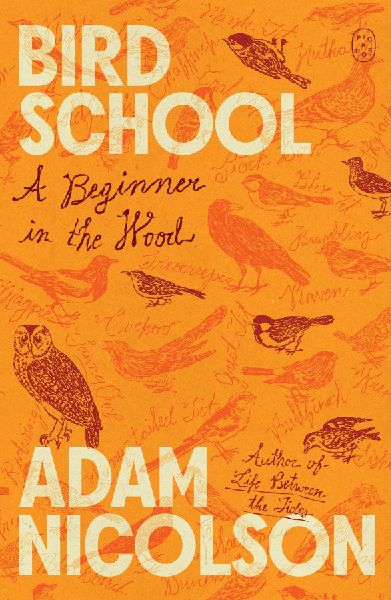 Bird School: A Beginner in the Wood