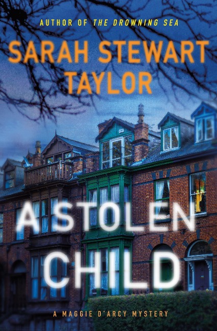 A Stolen Child: A Maggie dArcy Mystery