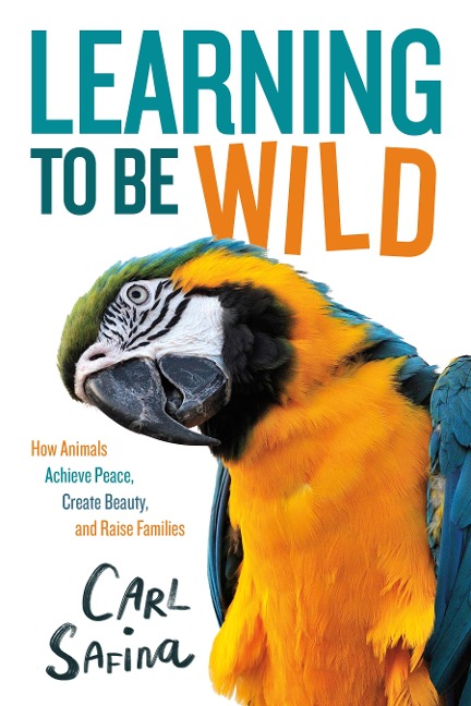 Learning to Be Wild (a Young Readers Adaptation): How Animals Achieve Peace, Create Beauty, and Raise Families