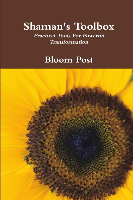 Shamans Toolbox: Practical Tools For Powerful Transformation