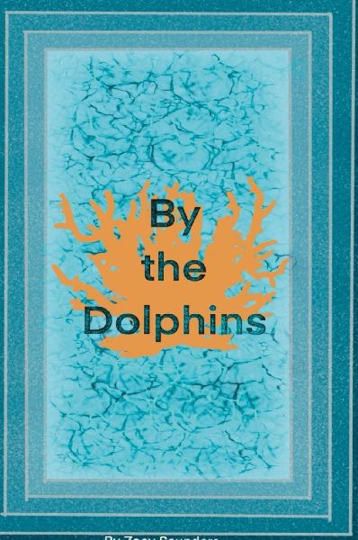 By the Dolphins