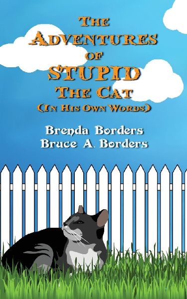 The Adventures of Stupid The Cat