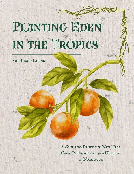 Planting Eden in the Tropics: A Guide to Fruit and Nut Tree Care, Propagation, and Healing in Nicaragua