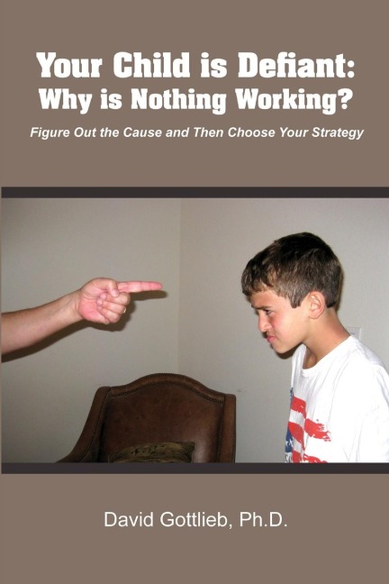 Your Child Is Defiant: Why Is Nothing Working?