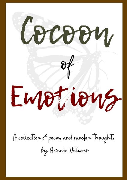 Cocoon of Emotions: A Quiescent Journey through memories and emotion.