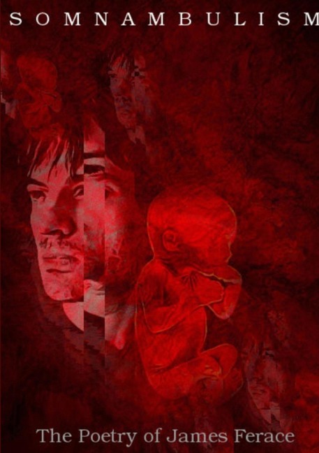 Somnambulism: The Poetry of James Ferace
