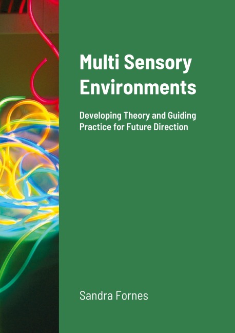 Multi Sensory Environments: Developing Theory and Guiding Practice for Future Direction