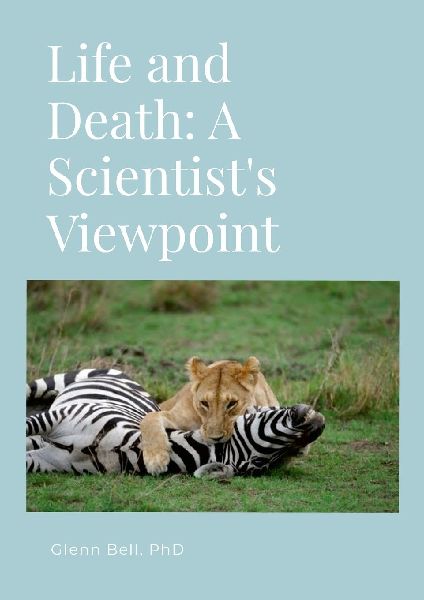Life and Death: A Scientists Viewpoint