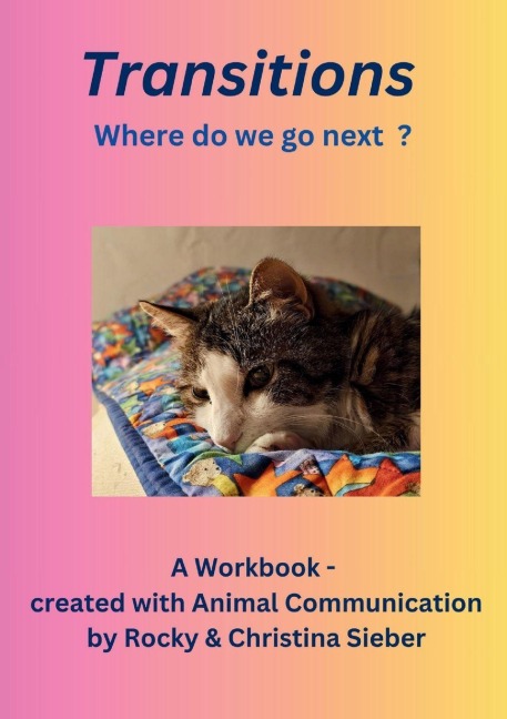 Transitions: Where do we go next ?