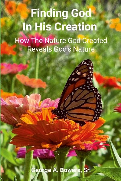 Finding God in His Creation: How the Nature God Created Reveals Gods Nature