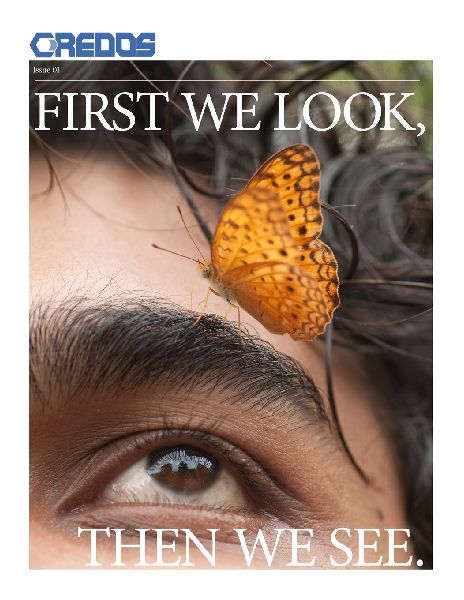 First We Look, Then We See Issue 1
