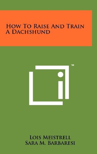 How To Raise And Train A Dachshund