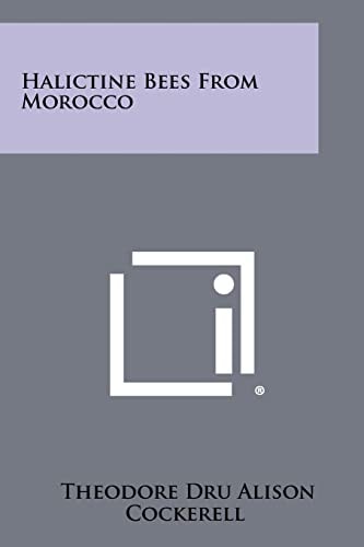 Halictine Bees from Morocco