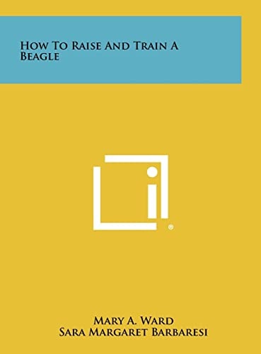 How To Raise And Train A Beagle