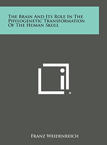 The Brain and Its Role in the Phylogenetic Transformation of the Human Skull