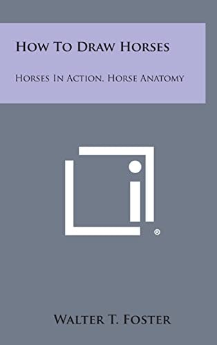 How to Draw Horses Horses in Action, Horse Anatomy