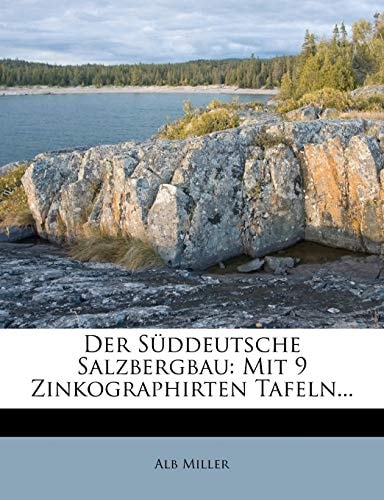 Der Süddeutsche Salzbergbau: Mit 9 Zinkographirten Tafeln...