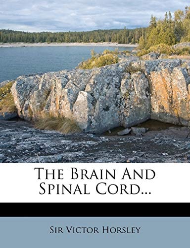 The Brain and Spinal Cord...